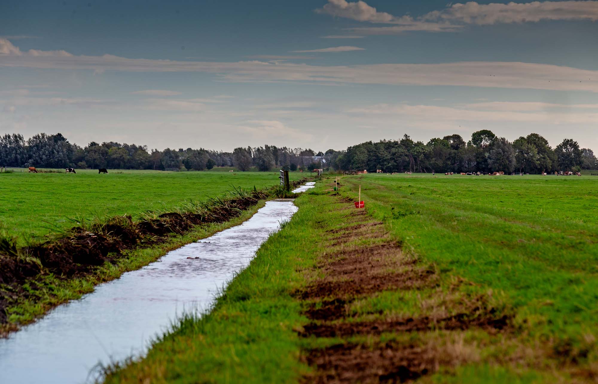 Duifpolder Rotterdam de boer op! - Bart Hoogveld