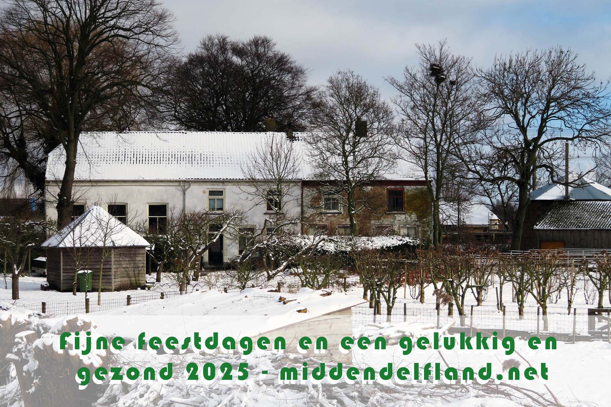 Kerstkaart en nieuwjaar 2025