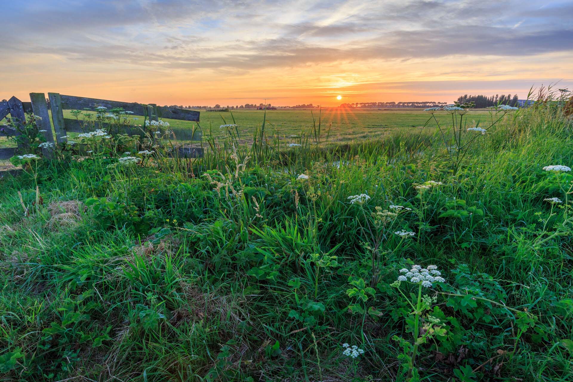 Polder Noord-Kethel-Natuurmonumenten-Maarten van de Ven